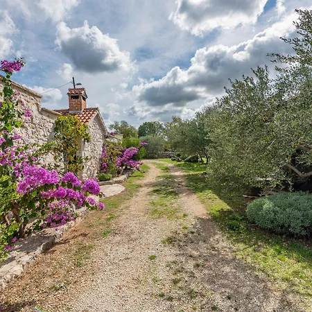 Villa Torine Zadarvillas