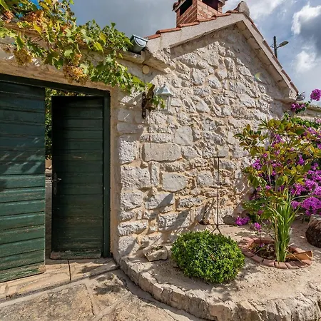 Torine Zadarvillas * Zapuzane